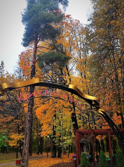 Осень в красногорском городском парке 🍂  📷Вячеслав..