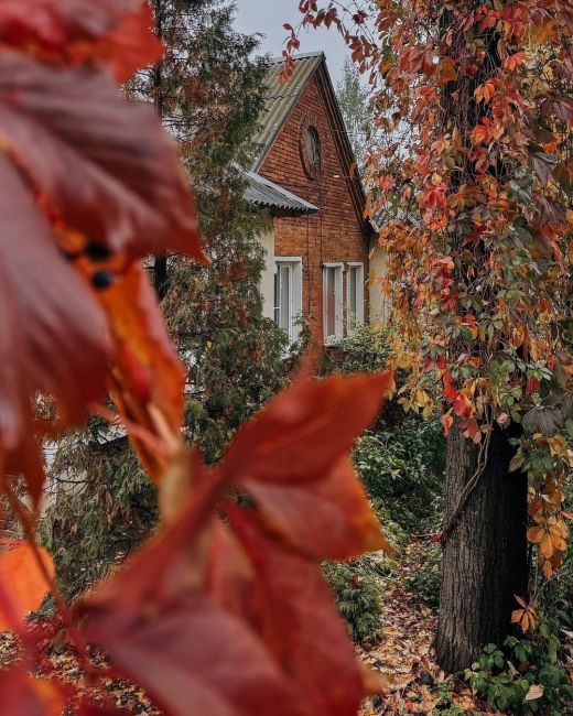 Осень в городе🍁..