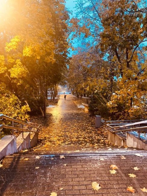 Осенне-зимний парк Толстого и сквер Рубцовой..