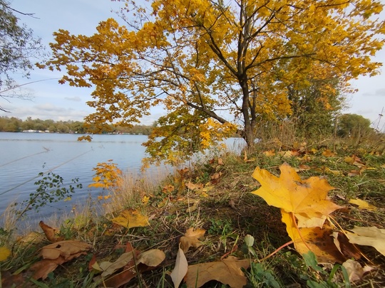 Осень в Долгопрудном - просто сказка ❤️  Ждём Ваши фото в комментариях..