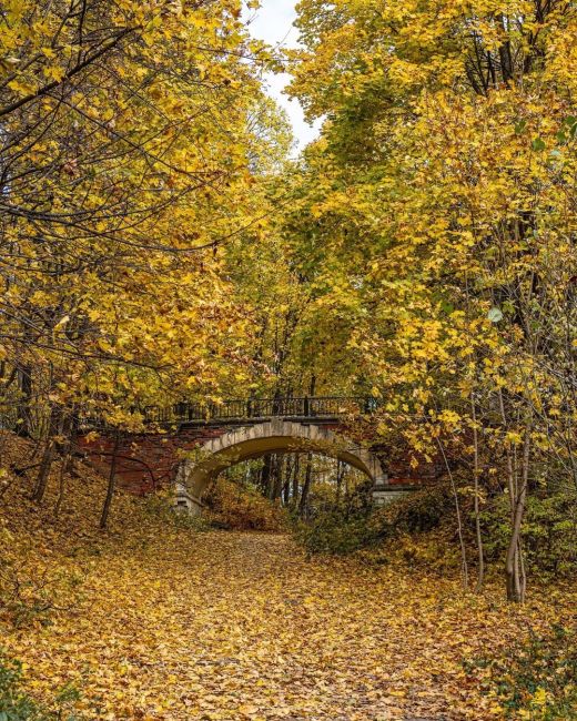 На моих фото осенняя усадьба Суханово, родовое имение князей..