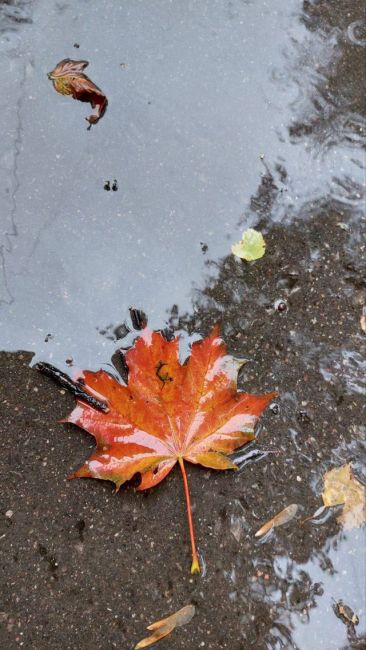 🍁Октябрь в..