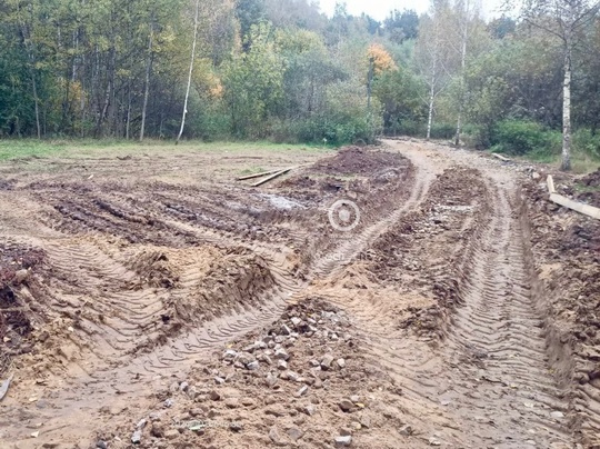 В Подушкинском лесу, со стороны улицы Говорова, продолжаются работы по обустройству лесных дорожек..