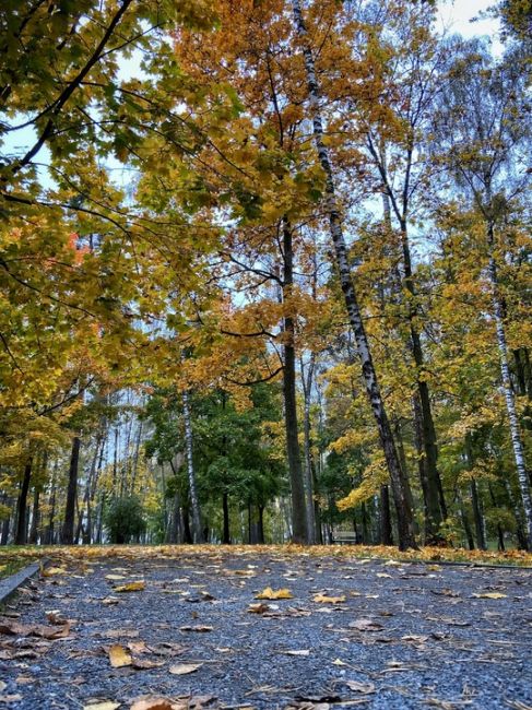 Осенний парк "Пехорка"..