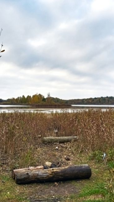 НА ВЕЛИКЕ МИМО МАЗУРИНСКОГО ОЗЕРА
В минувшую пятницу проехал на велике Горенский лес насквозь от платформы..