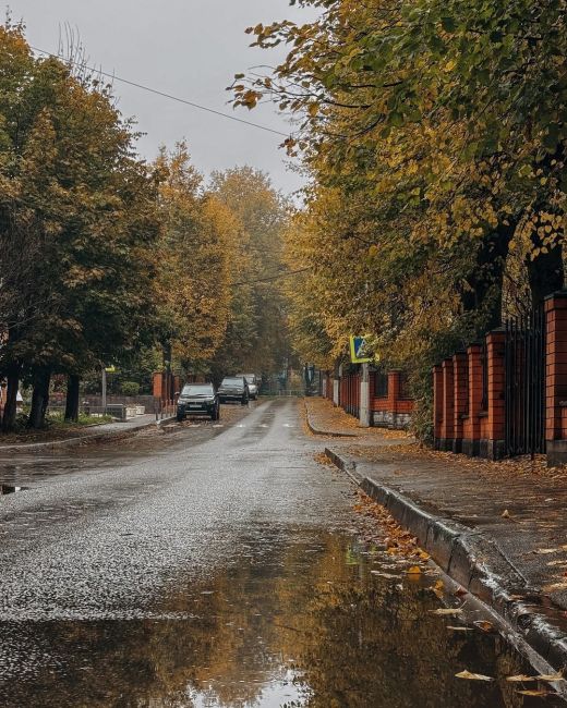 Осень в городе🍁..