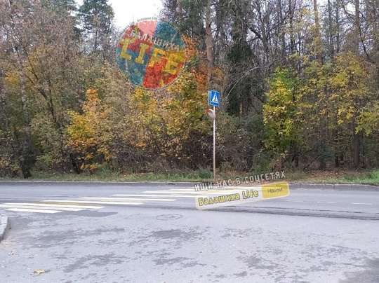 Добрый день! По адресу, г. Балашиха, ул. ОРДЖОНИКИДЗЕ, Д 21, напротив магазина "Чижик" установили на пешеходном..