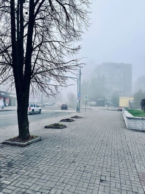 ТУМАННАЯ БАЛАШИХА 🤍🌫️🌲
Фото -..