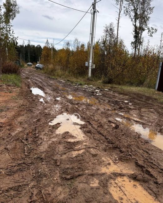 Одинцовским многодетным семьям не могут сделать дорогу к их участкам уже почти 10 лет 😟  Об этом рассказали..