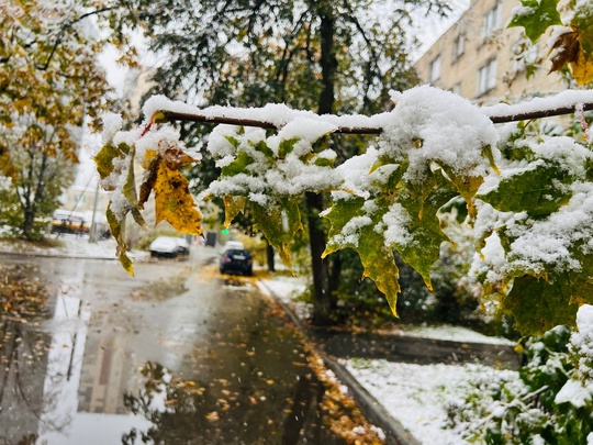 Доброе утро. Немного вчерашних..