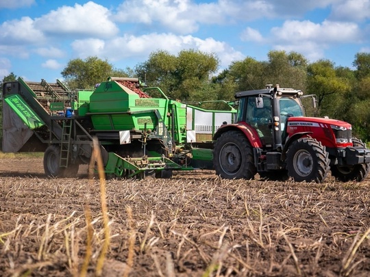 🥕🥔🚜 В городском округе Коломна завершают уборку урожая. Аграрии уже собрали с полей озимую и яровую..