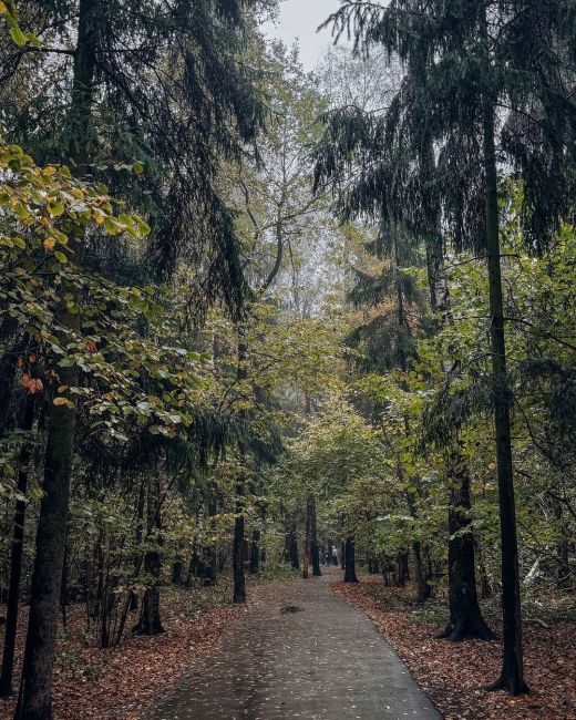 Осень в городе🍁..