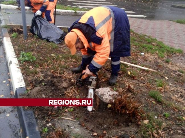 В Пушкино убрали гнилые пни, которые мешали жителям возле жилых домов.  В Пушкино, на улице 50 лет Комсомола и в..