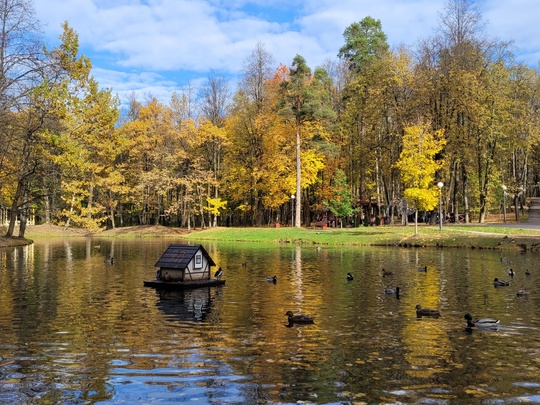 🍃Яркие осенние оттенки в красногорском городском парке.  📸Автор фото: Вячеслав..