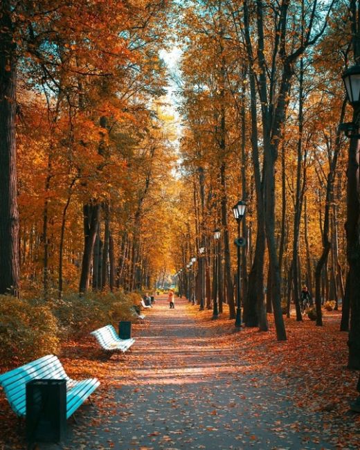 Осень в Нескучном саду.  Фото:..