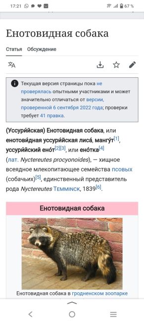 Нашли сейчас лису домашнюю перебита спина, вроде домашняя. Помогите ей, пожалуйста 🙏  Звонила в службы, все..