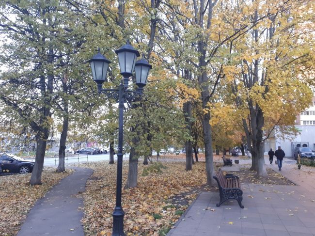 🍁Осень в Долгопрудном.
(проспект Пацаева)  Что, может быть, красивей листопада 
- Ковра из разных листьев на..