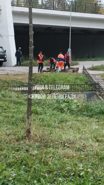 🛠В овраге возле реки Каменка, в районе 16-го микрорайона, проведена уборка и уложены плиты.  ТГК Живой..