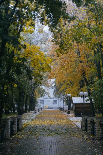 Моменты вчерашнего снегопада в парке Толстого..