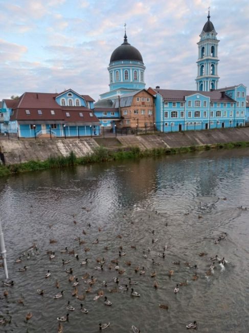 Доброго вечера, Ногинск.
Спасибо подписчику за..