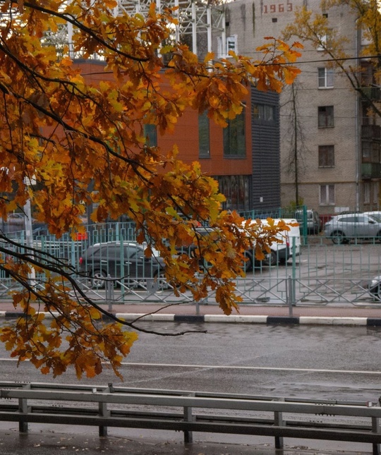 Доброго осеннего утра и пасмурных Химок всем в ленту 🍂  Фото - ShiroKopeyka..