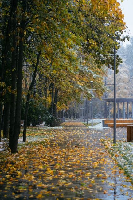 Моменты вчерашнего снегопада в парке Толстого..