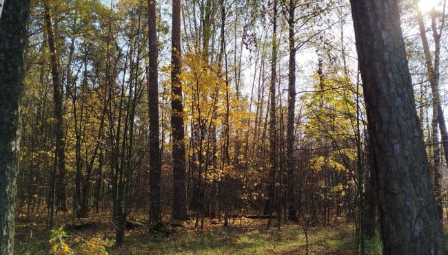 Немного осенней красоты.🍂
Спасибо нашей подписчице за..