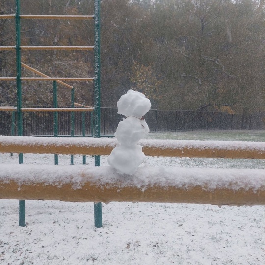 ☃️А вот и первые снеговички, правда, пока очень..