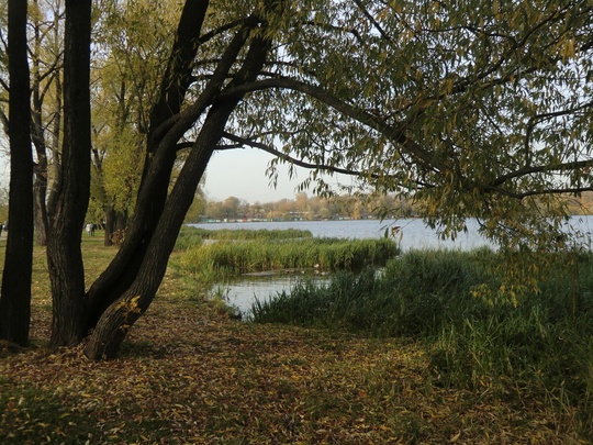 Доброе утро, Долгопрудный..