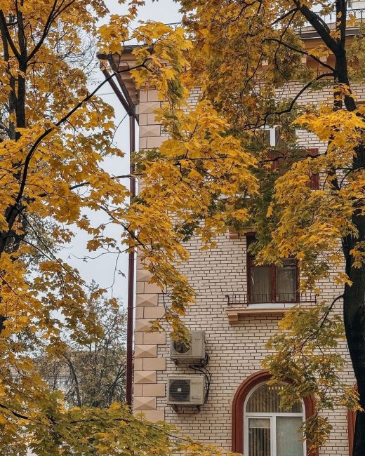 Осень в городе🍁..