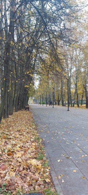 🍂 Доброе утро. 
Хорошего дня и позитивного настроения. ☕  🚂 ЦППК тестирует приложение, которое будет само..