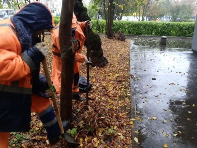 В Пушкино работники коммунальных служб справились с проблемой подтопления парковки.  В среду стало..