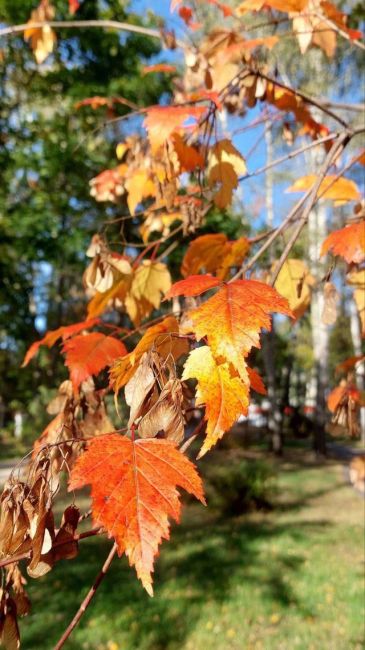 🍁Октябрь в..