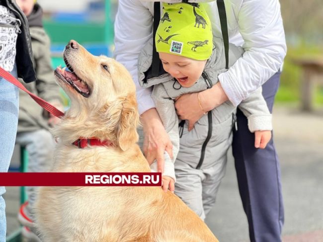 Мохнатый доктор Мишель помогает детям в Ивантеевке улучшать координацию и моторику  Особенные дети из..