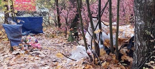 В городском ПКИО Жуковского возле Туполевского шоссе, рядом с собачьей площадкой бродяги устроили жильё,..