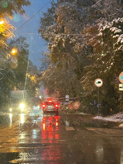 Климовск на перекрестке возле больницы упало дерево. Будьте осторожны! 
Фото из чата "Подольск: пробки,..