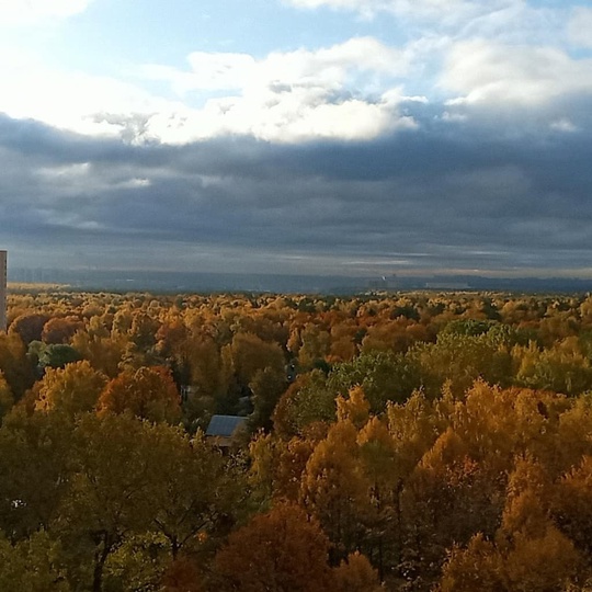 Осень Красногорска ❤️
Всем хорошего глинтвейного..