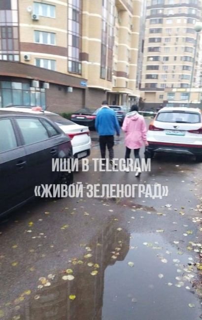 🚌В Голубом два пассажира отказались платить за проезд и устроили драку — сообщили через бота.  Меня зовут..