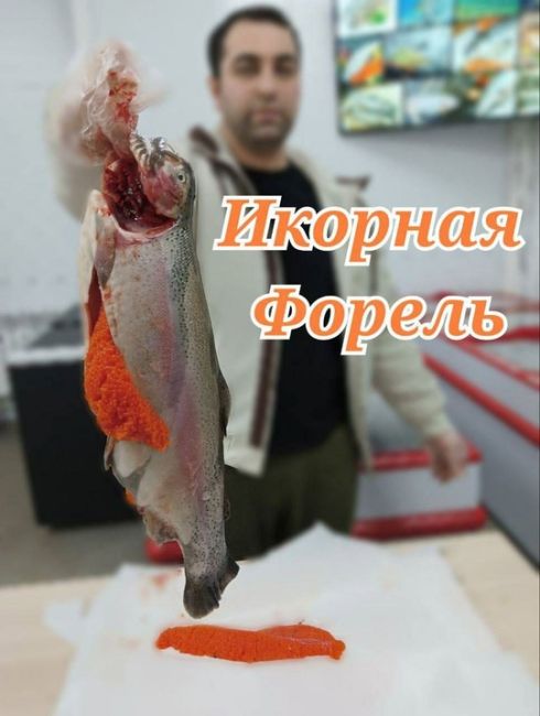 🐟Икорная форель 
напрямую из Карелии 
Охлажденная / потрашенная 
Первой свежести 
🔴Икорная 80% 
⚖Вес: от 2 до..