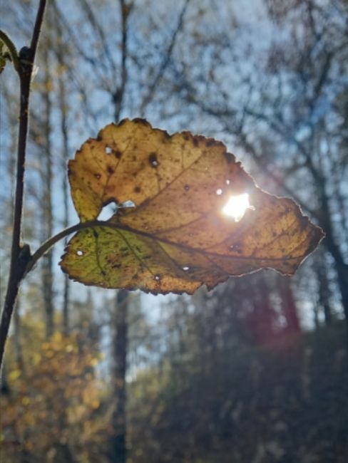 Закат сегодня🤗  Вечерний фоточат, кидайте в комментарии последние фотографии, которые сделали на..