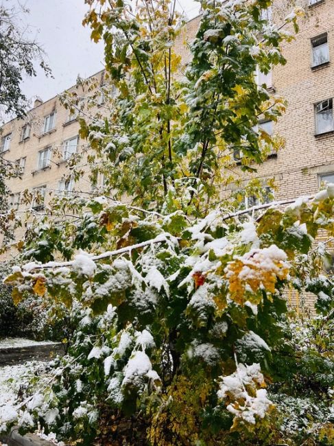 Доброе утро. Немного вчерашних..