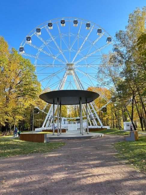 Золотая осень в парке Толстого..