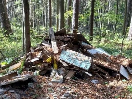 Леса Богородского округа признаны одними из самых грязных в Подмосковье.  Комитет лесного хозяйства включил..