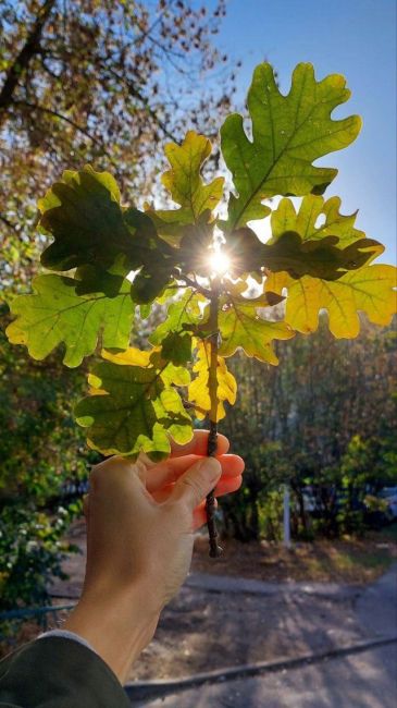 🍁Октябрь в..