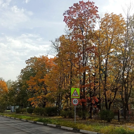 🍁 НАША БАЛАШИХА 🍂 
📸Марина..