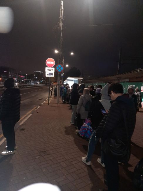 Моменты вчерашнего снегопада в парке Толстого..