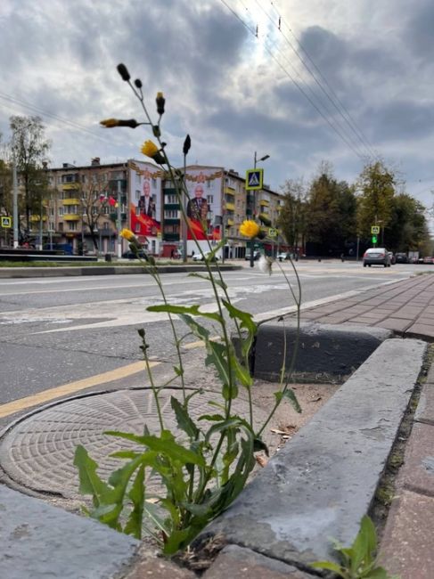 К концу недели прогнозируется возвращение осеннего тепла 👏🏼  Дожди и снег прекратятся в среду, а в..