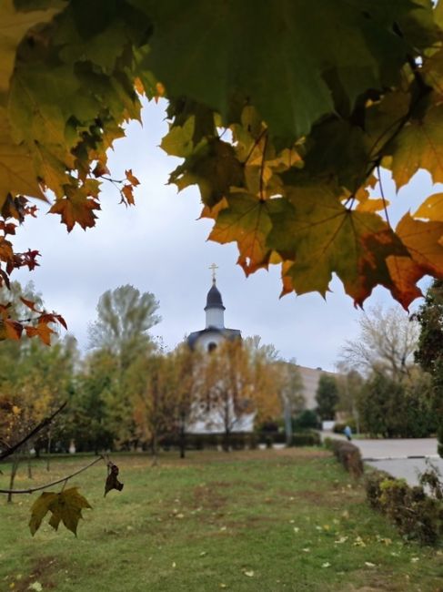 Доброе утро и отличного..