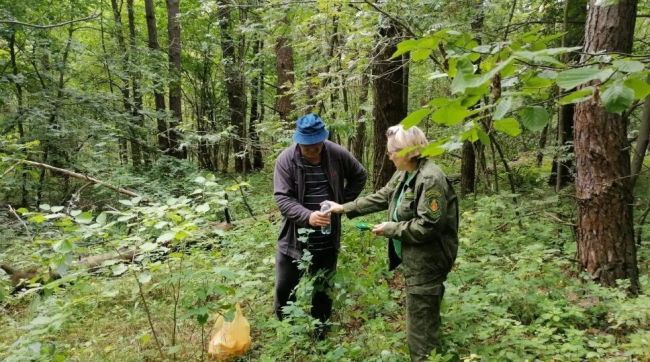 Из-за неурожая грибов и ягод в Подмосковье стало меньше «потеряшек» в лесу  За месяц в лесах Московской..