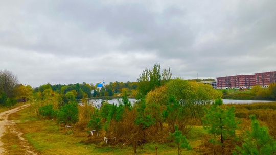 Город Железнодорожный.Осень.
📸Ярослав..